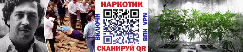 Меф Сольцы